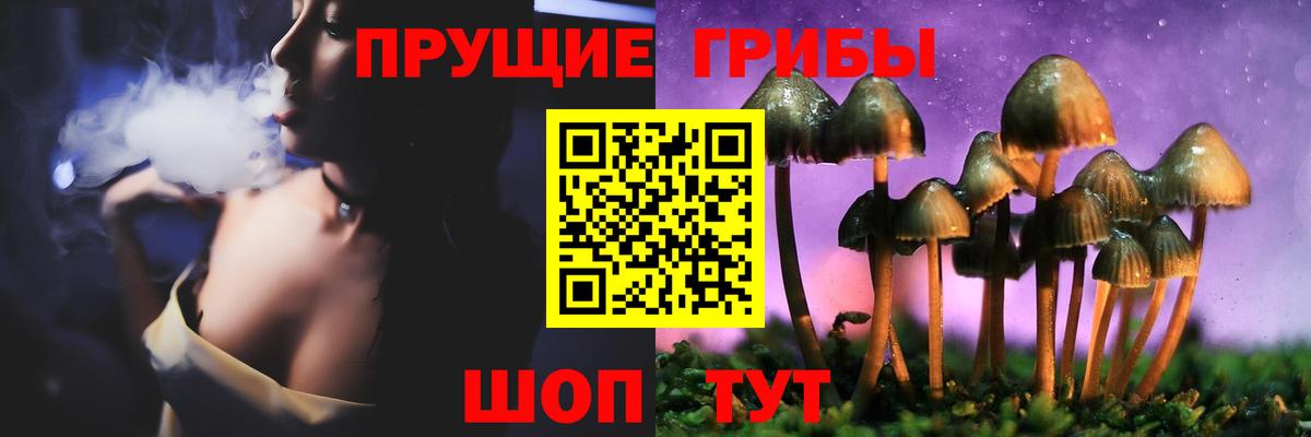 Галлюциногенные грибы Magic Shrooms Свободный